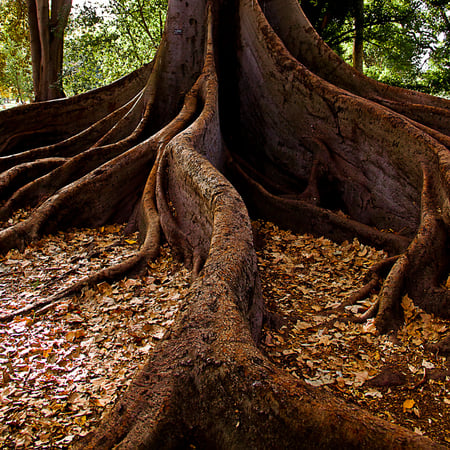Annual Outlook 2025: Rooted in Resilience, Strengthening Your Financial Future