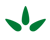 manning-napier-logo-leaves-200px