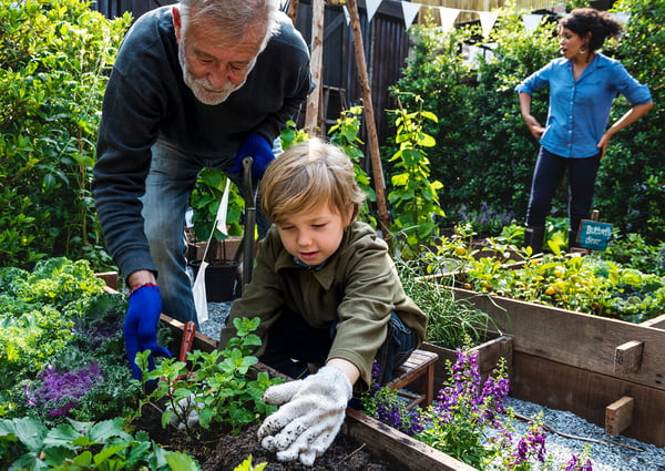 How to Cultivate Relationships to Create Your Best Donors