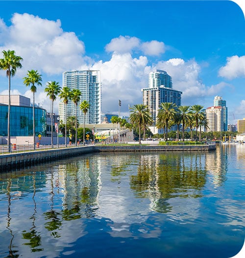 wealth management saint petersburg central and north florida team