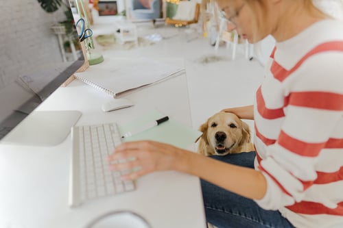woman with dog typing on a keyboard