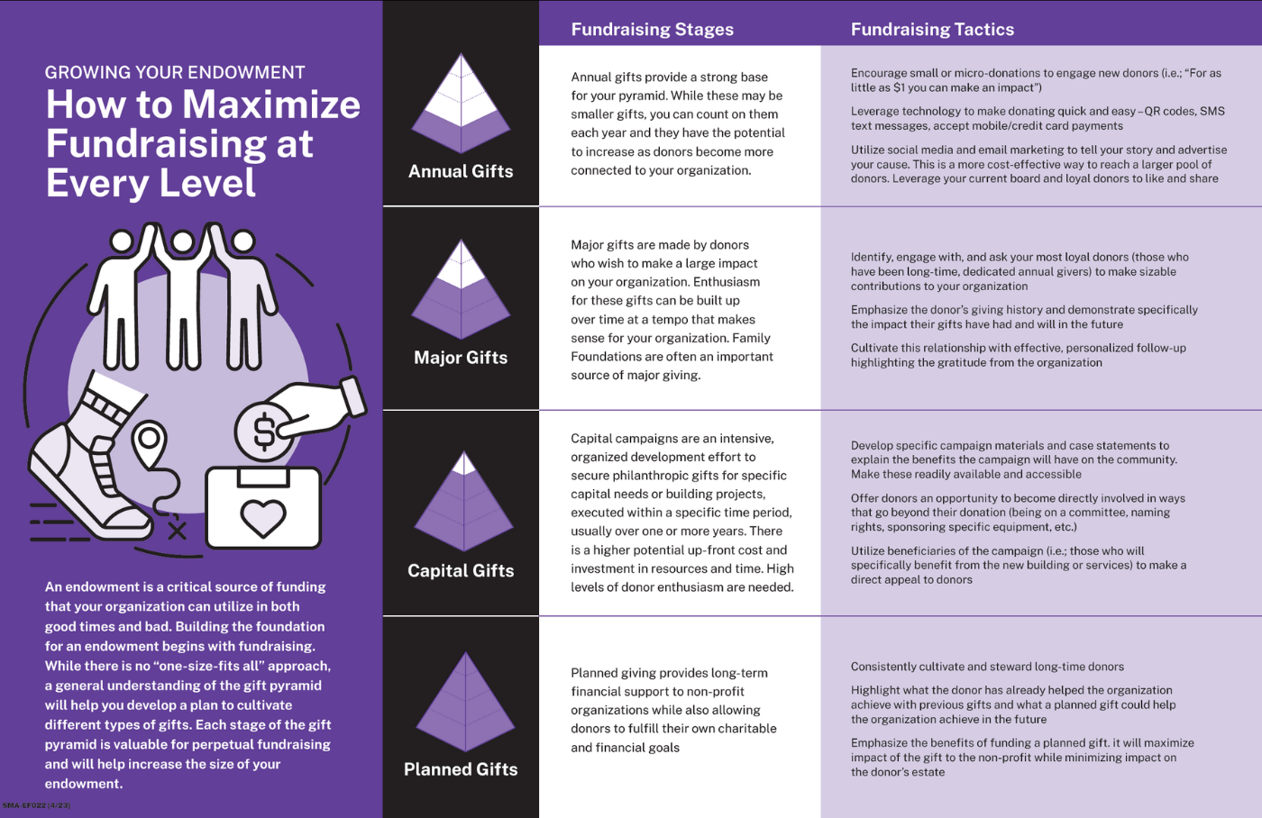 preview of the infographic